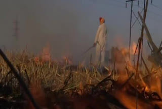 The highest number of stubble burning cases in Punjab