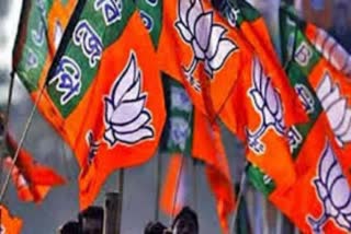 bjp-released ddc candidate list