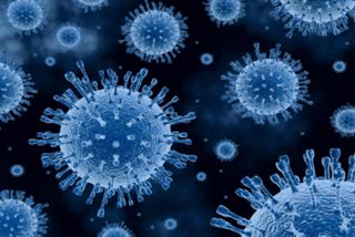 Coronavirus cases reached to 86 lakhs in India