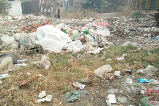 Najafgarh vegetable market has become a garbage market