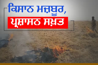 Mansa police registered cases against 60 farmers for burning paddy straw