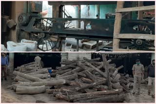 26 lakh worth of timber seized from timber mill in Bhubaneswar