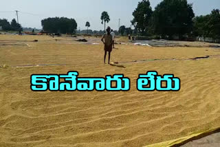 paddy farmers sale to private vendors due to  late process in govt buying centres