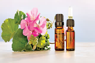 aromatherapy reduce stress, anxiety and give good sleep