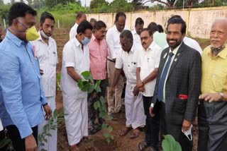 planting saplings in kuthalam