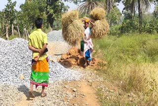 farmers-facing-problems-due-to-negligence-in-road-construction-under-pmgsy-in-narayanpur