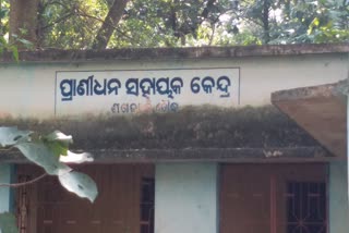 ଭୂତକୋଠୀ ପାଲଟିଛି ପ୍ରାଣୀଧନ କେନ୍ଦ୍ର, ଚାଷୀ ହନ୍ତସନ୍ତ