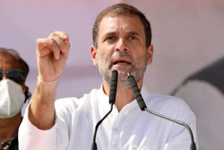 Govt needs to define COVID-19 vaccine distribution strategy: Rahul Gandhi