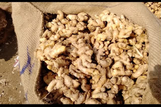 Decrease in the price of ginger,jalana