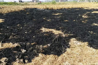 uttar pradesh government banned on burn parali