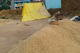 delay in paddy purchase