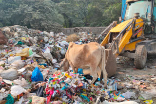 Garbage being dumped near Qutub Minar