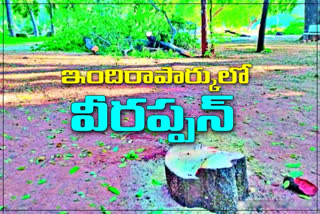 13 sandalwood trees were cut down at Hyderabad Indira Park at midnight