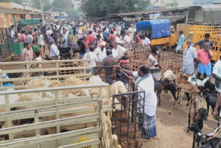 On the eve of Deepavali, the Pavoorchatram Goat Market is in full swing
