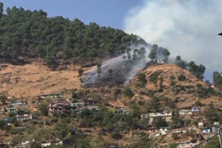 Kullu forest fire