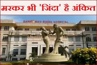 38th organ donation in SMS hospital, Jaipur News