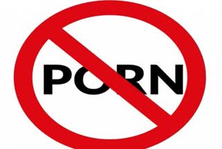 Interim ban on pornographic advertisements - Madras High court
