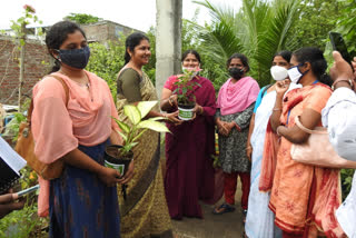 guntur commissioner anuradha