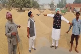 Farmers and commision agents allege lack of bags in Banbhora grain market