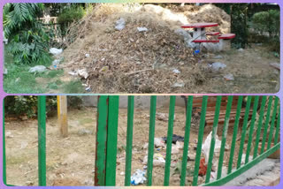 MCD leader  ward park in bad condition, Delhi government responsible