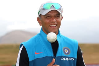 rahul dravid