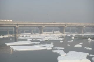 yamuna river  toxic  foam