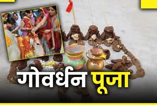 Gowardhan pooja in chhattisgarh