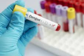 dengue