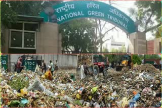 NGT ordered to ensure environmental regulations at three Waste to Energy plants in Delhi