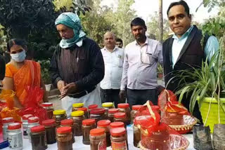 गोरखपुर उद्यान विभाग