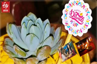 Diwali 2020 celebration, Laxmi lotus plant, eco friendly diwali