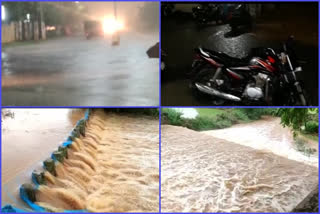 heavy rains in nellore district
