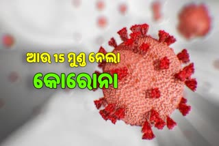 ଆଜି ପୁଣି 15 ମୁଣ୍ଡ ନେଲା କୋରୋନା