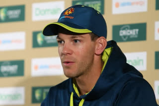 He's just another player to me: Tim Paine says Australian cricketers 'love to hate' Virat Kohli