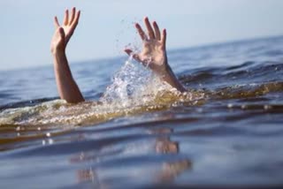 Three brothers drown in lake