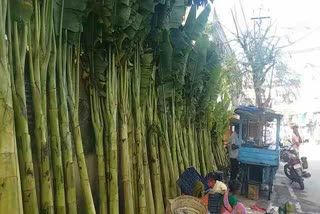 Banana trees sales on occasion of Deepawali