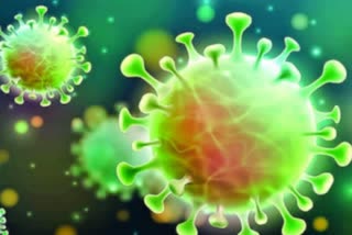 coronavirus cases updates in India