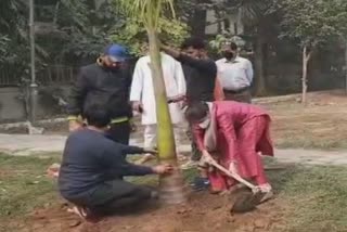 corporation councilor of malviya nagar planted saplings on deepawali in delhi