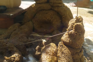 Govardhan Puja