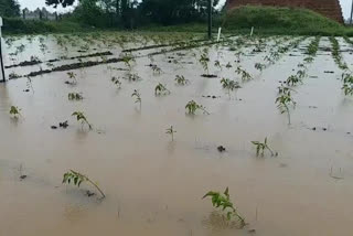 heavy-rain-in-nellore