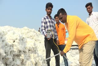 cci-starts-buying-cotton-in-jalgaon