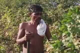 how-to-repay-the-loan-now question ask by farmer in beed