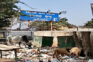 People facing problem due to litter pile in front of SDMC health Center at Bhati Mines