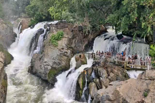 tourists visit hogenakkal falls for diwali