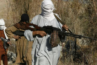 taliban commanders killed