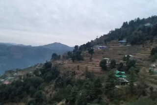 Rain starts in Theog and light snow starts in Kufri