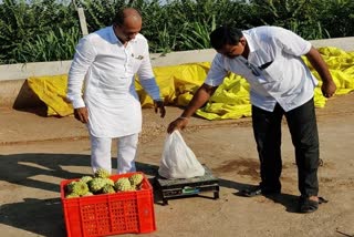 Farmer Hanumant Rajegore Custard Farming