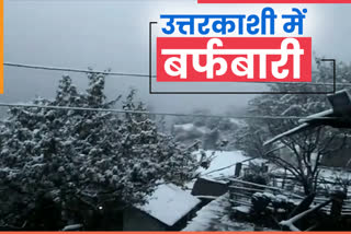 snowfall in uttarkashi