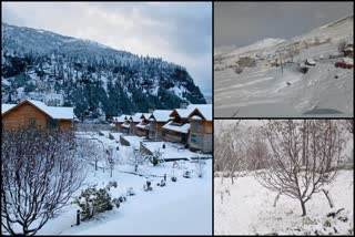 Snowfall in Kullu