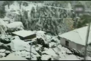 snowfall in the Pirpanjal area